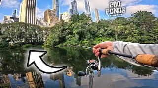 I Fished The Most FAMOUS Park In The World!