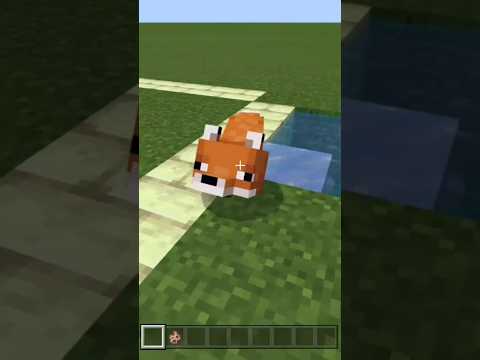 🦊Wizard Fox🌟What if we give the fox boots with ice magic?(world smallest violin) #minicraft#gamaing
