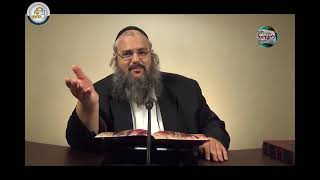 חוק לישראל - פרשת לך לך - יום חמישי | הרב שלמה לוינשטיין (ארגון קול הלשון) - התמונה מוצגת ישירות מתוך אתר האינטרנט יוטיוב. זכויות היוצרים בתמונה שייכות ליוצרה. קישור קרדיט למקור התוכן נמצא בתוך דף הסרטון