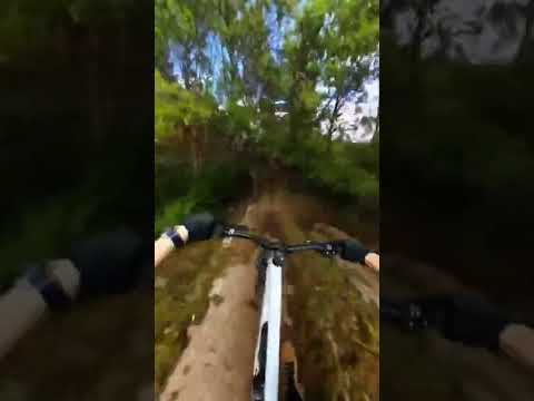 CICLISTA BATE EM ÁRVORE DESCENDO MONTANHA #bike #downhill #nature #incrível #trilha #adrenalina