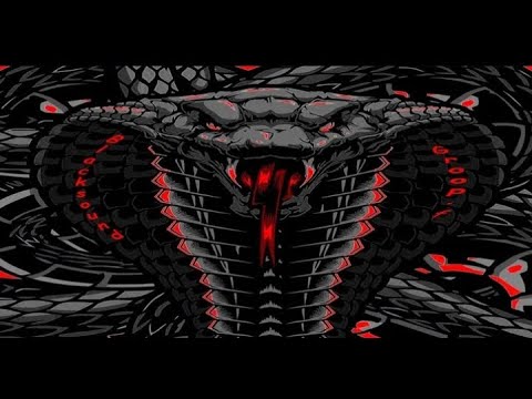 Damozel - Could I . " BLS - GF " .