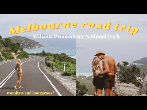 Wochenende außerhalb von Melbourne | Wilsons Promontory Nationalpark & ​​Wombats!!