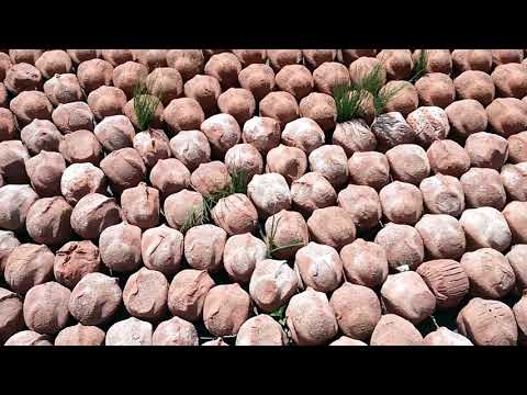 Palingbeek comingworldrememberme