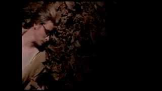 Laura Veirs  Magnetized