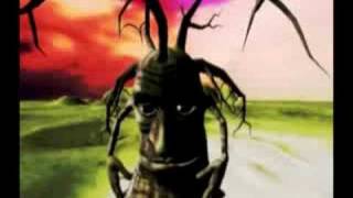 Liam Lynch - The Elder Tree