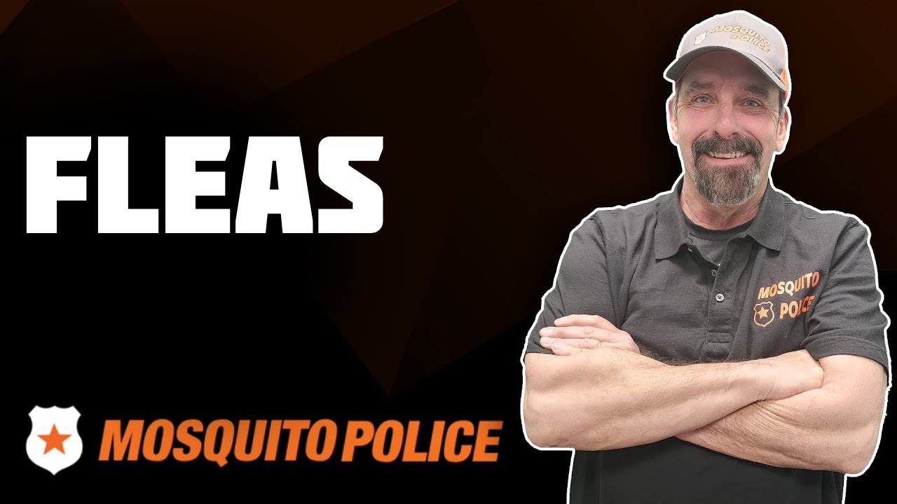 Mosquito Police - Fleas