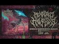 RENDERED HELPLESS ENTITIES OF TRANSDIMENSIONAL EMERGENCE OFFICIAL ALBUM STREAM 2017 SW EXCL