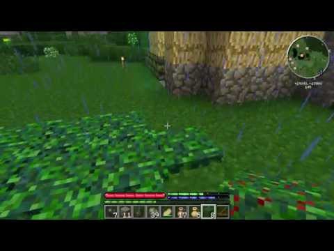 TerraFirmaCraft (Build 78) - Ep.4 - We Have a House ... kind of