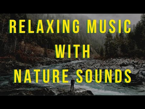 Incredible Jungle Sounds 8K - Relaxing Nature Video | Nature sounds | Moksh Hub