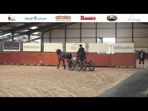 IBOP Wergea | 26 Augustus 2022