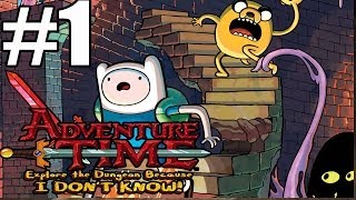 Adventure Time Explore The Dungeon Because I Don't Know Walkthrough Part 1 (90 Minutes)