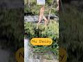 What Happened After the Jump? #cliffjumping #waterfall #travel #adventure #nature #usa