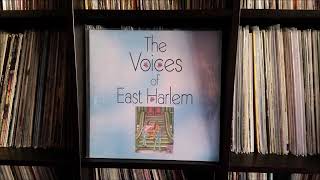 the voices of east harlem little people