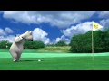 Bernard Golf Avi