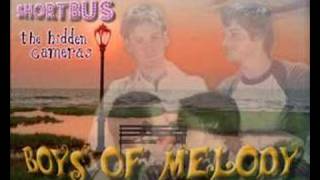 The hidden cameras - Boys of melody