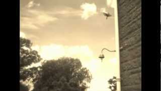 Joel Plaskett - Absentminded Melody