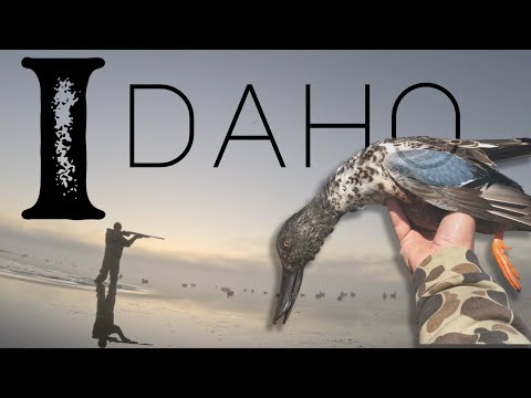 Duck Hunting the Mountains of Idaho (opening weekend)