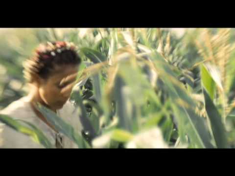 Wild Beasts - All The King's Men (Official Video)
