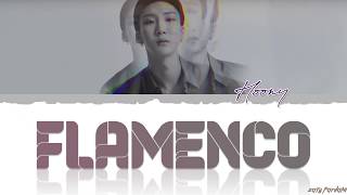 WINNER - 'FLAMENCO' (HOONY SOLO) Lyrics [Color