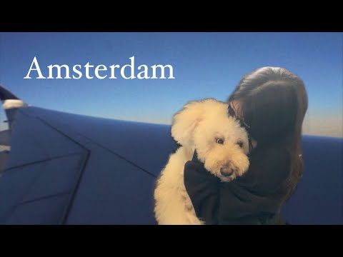 moving to amsterdam from malaysia