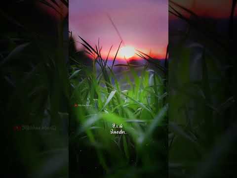 Malai Kaatru Song || Vedham Movie || #whatsapp_status  #whatsappstatusvideo #vidhyasagar #lovesong