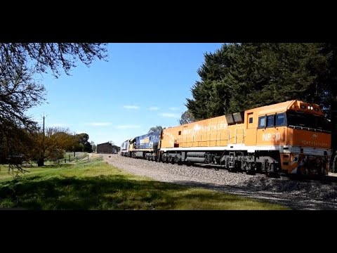 Pacific National 2MP5 Orange NR30 'Great Southern' NR95 8117 Nairne & Mt Lofty 29th August 2023