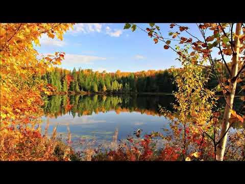 VEJN DAJER / ISPUNJENE ŽELJE - VEŠTINA MANIFESTOVANJA - KO SAM JA I JA SAM / VAŠ KONCEPT O SEBI 