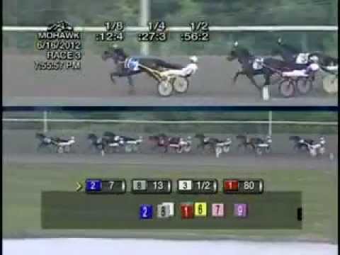 Elegantimage Trot Final 2012 -Check Me Out
