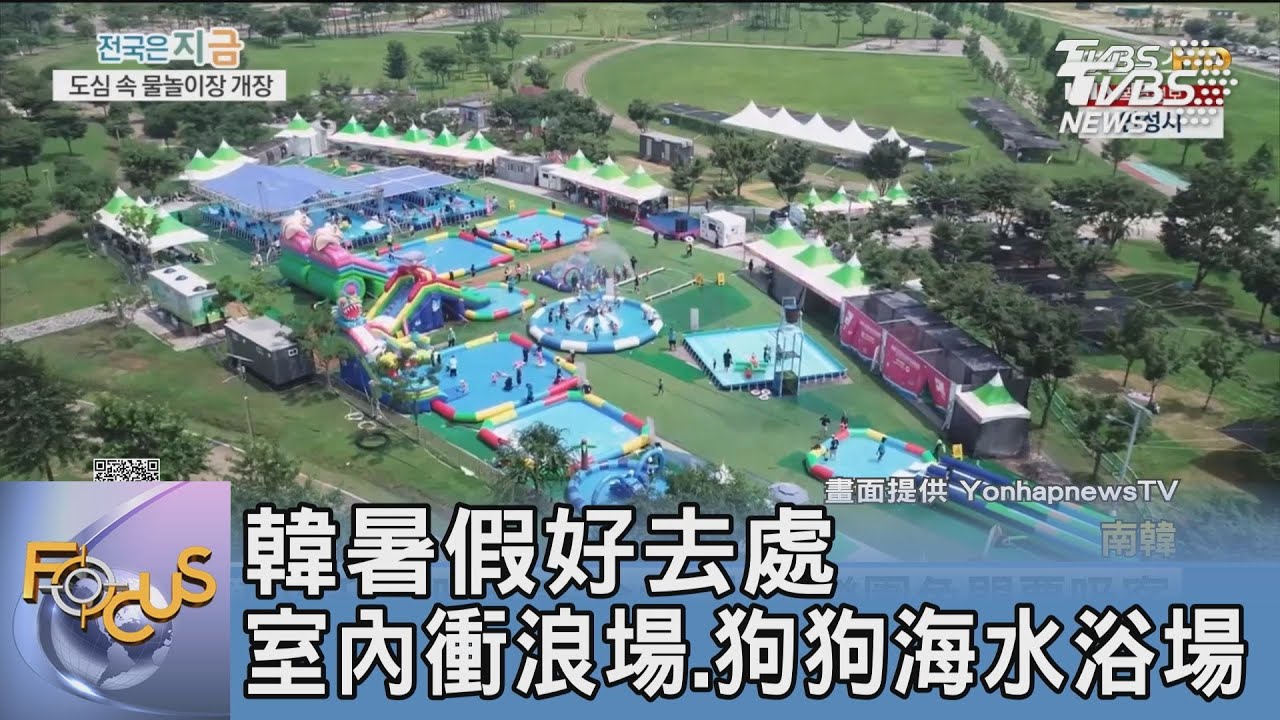 韓暑假好去處　室內衝浪場、狗狗海水浴場