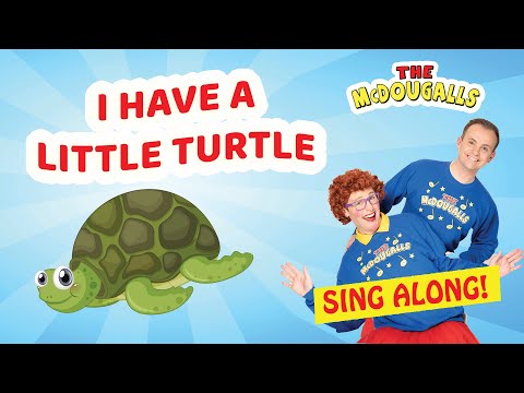 I Have a Little Turtle | Kids Song | Sing Along | Action Song  | The McDougalls
