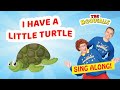 I Have a Little Turtle | Kids Song | Sing Along | Action Song  | The McDougalls