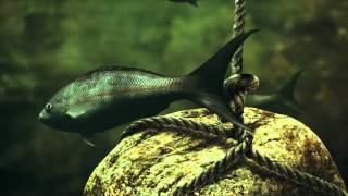 Wolves At The Gate "Safeguards" Lyric Video