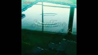 Download lagu Story wa Tentang Hujan Anime mp3 Download lagu Story wa Tentang Hujan Anime mp3