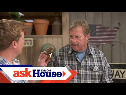 How to Choose a Mouse Trap | Ask This Old House