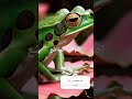 Https Www Youtube Com Re9xf Https Www Facebook Com Share R 7oCuM8opYEd4REAa Mibextid OFDkn