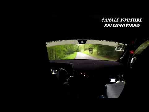 RALLY VALLI DELLA CARNIA 2025 | IRLACHER W. - MIEDL R. | PEUGEOT 208 RALLY4 | OBC PS8