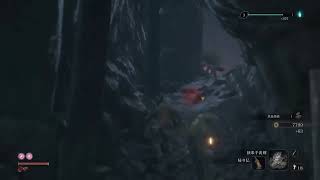 【SEKIRO】初期体力、攻め力、苦難、厄憑で行くニンジャ#6【隻狼】