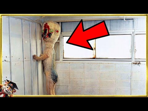 15 Stworzeń SCP uchwyconych na kamerze w prawdziwym życiu