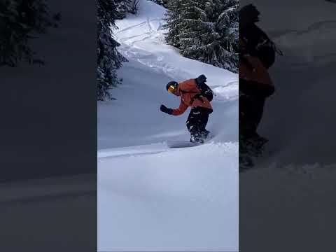 POGO Asueto Powdersurf Session 2022