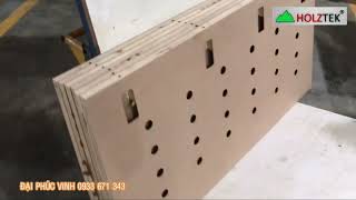 Máy khoang Ngang CNC 2 đầu lên xuống Tự động