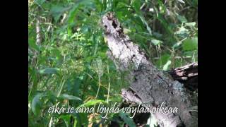 Suvi Teräsniska (2010): Elän kosketuksesta +Lyrics