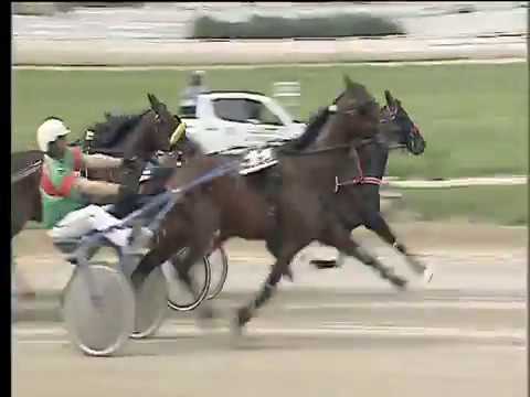 Trotto 15/04/2018 - 2ª corsa