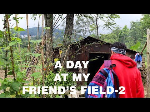 A DAY AT MY FRIEND'S(ANUZO'S) FIELD-2