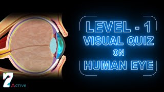 Human Eye Level 01
