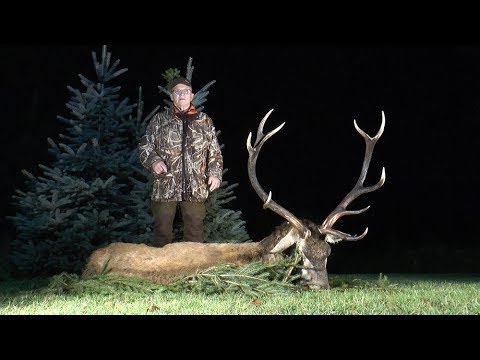 Doppeltes Waidmannsheil - Brunfterlebnisse in der Johannisburger Heide