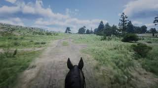 Red Dead Redemption 2: Hey Stranger