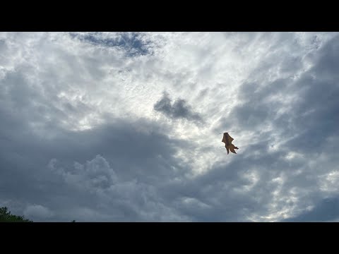 Pangalo! - Tu dia ma