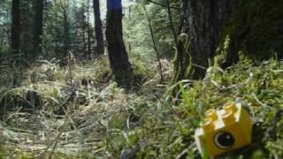 support systems (mclusky)