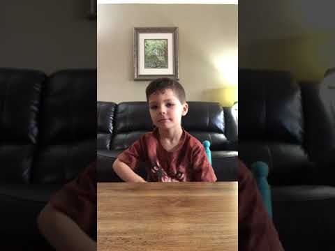 Prehistoric Marine reptiles