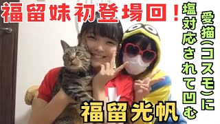 【福留妹初登場回】猫(コスモ)に塩対応されて凹む福留光帆さん